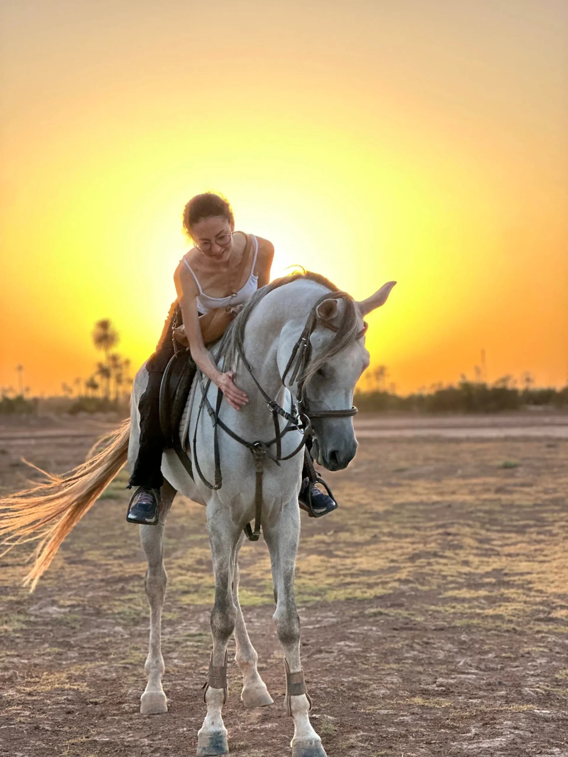 Équitation Marrakech