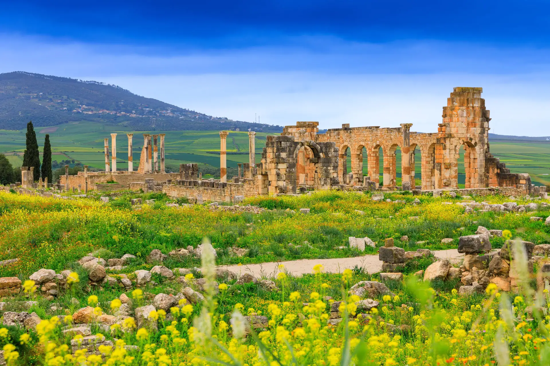 Site archéologique de Volubilis